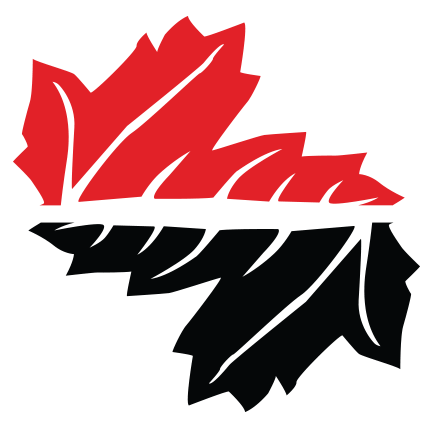 CIT Student Platform